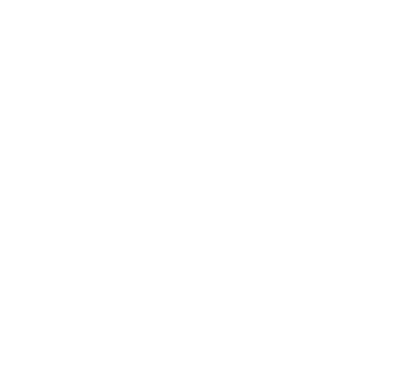 Victory Stories