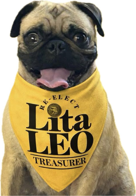 Pug wearing yellow Lita Leo campaign apparel